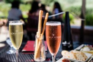 当代足球精英迎战，荣誉由过来经验带来