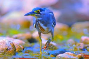 多特蒙德后卫因伤复出，球队整体实力大增