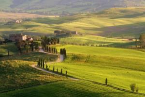 欧冠冠军惊现！巴黎圣日耳曼在场上获胜