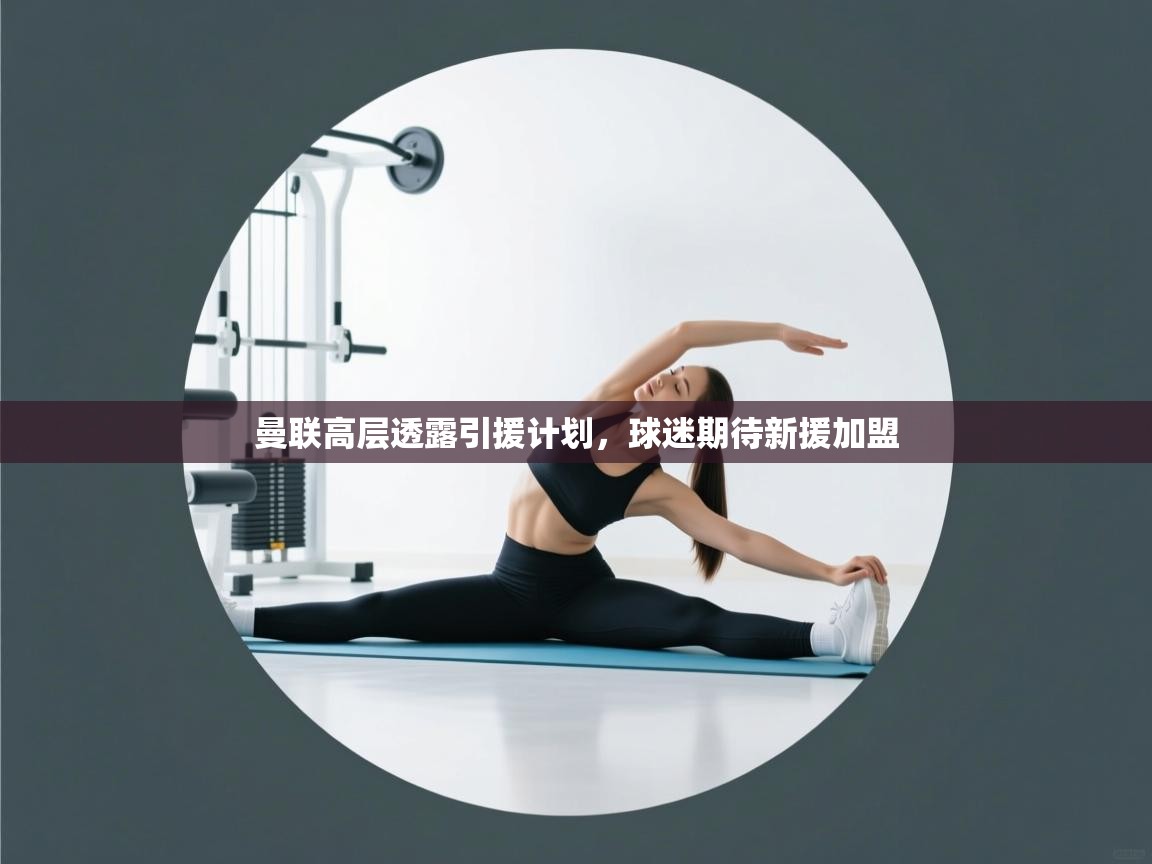 曼联高层透露引援计划，球迷期待新援加盟  第1张