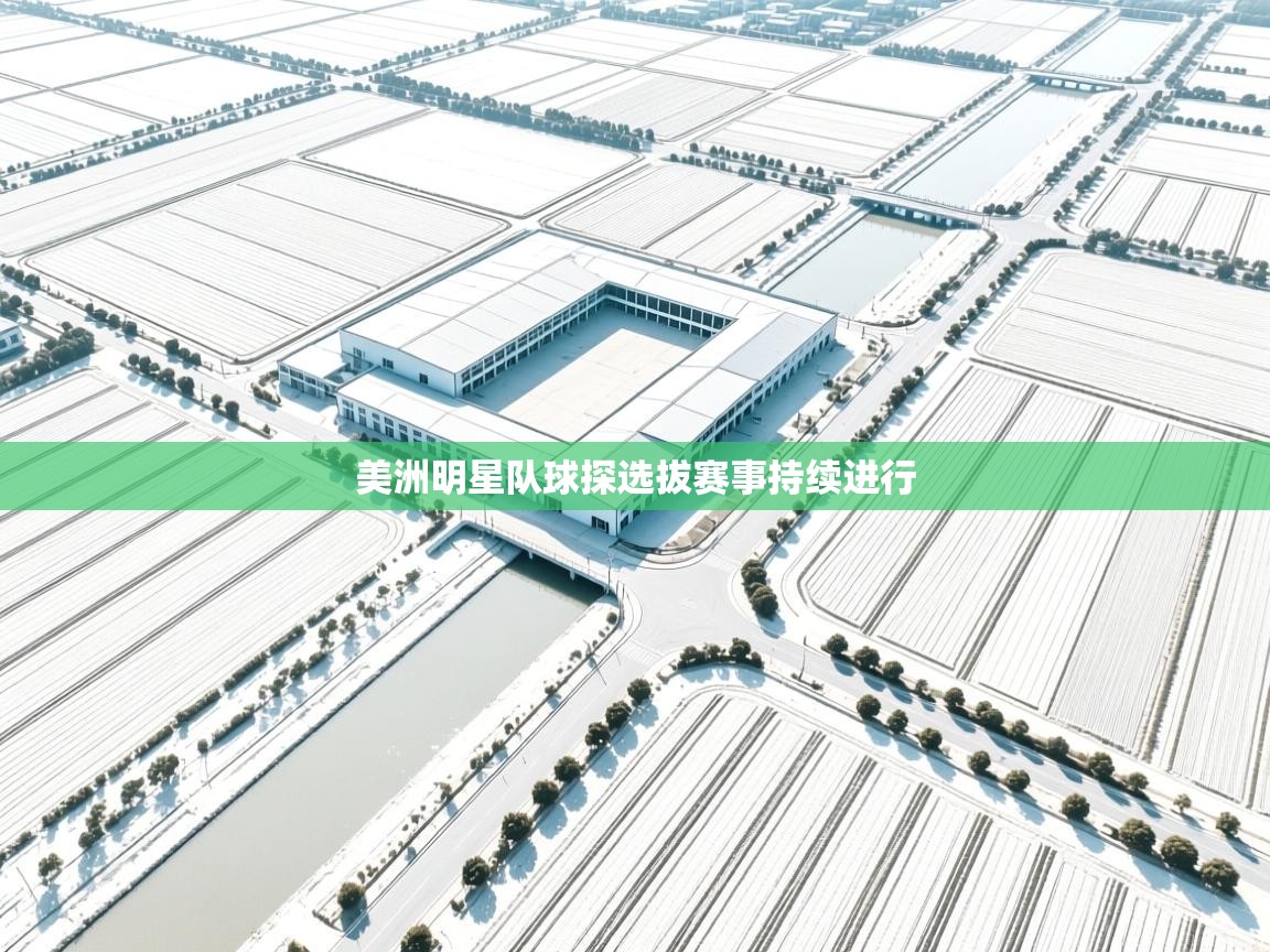 美洲明星队球探选拔赛事持续进行 第1张