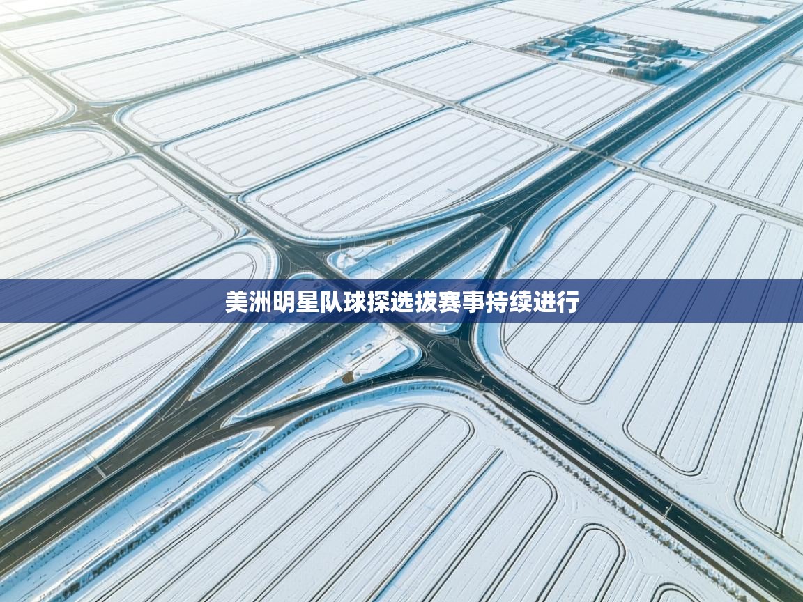 美洲明星队球探选拔赛事持续进行 第2张